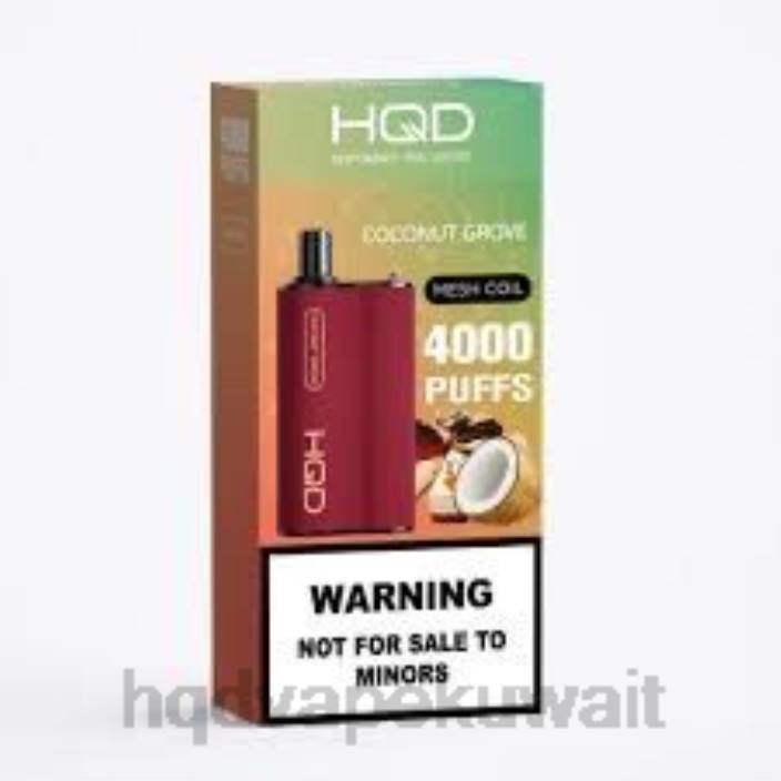 XZ6L73 HQD vape price - بستان جوز الهند HQD BOX 4000 نفث