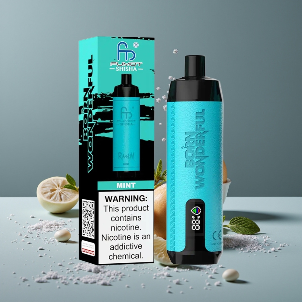 RandM Fumot Shisha 10000 نَفخة شيشة نعناع مع بطارية 850 مللي أمبير وشاحن Type-C