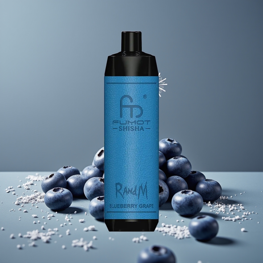 RandM Fumot Shisha 10000 Puff بلوبيري عنب بطارية 850 مللي أمبير وشاحن Type-C