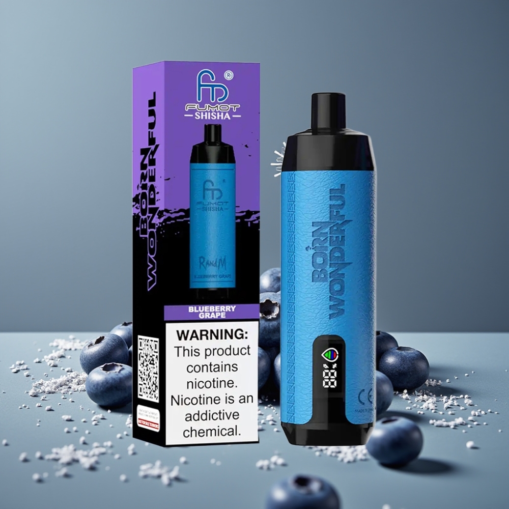 RandM Fumot Shisha 10000 Puff بلوبيري عنب بطارية 850 مللي أمبير وشاحن Type-C